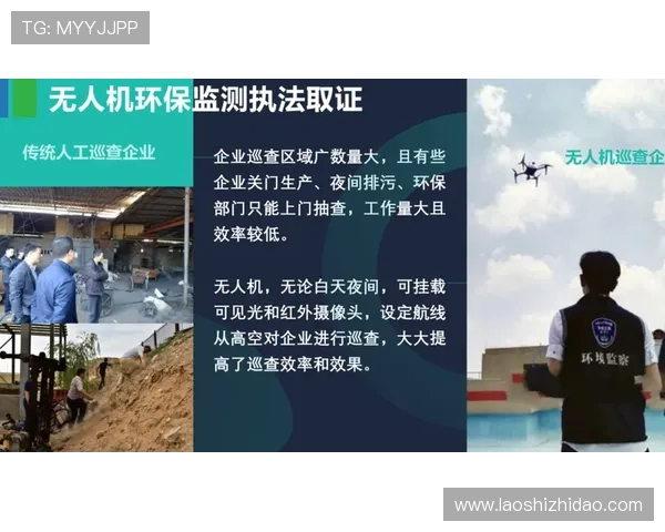 壹号入口：一站式解决方案助你快速找到所需资源，提升生活效率