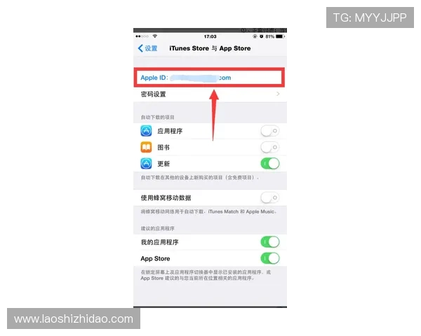苹果手机用户如何通过壹号app官方下载入口顺利完成安装