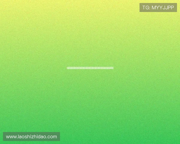 壹号钱包专业版最新功能介绍：助力用户实现便捷高效的资金管理体验